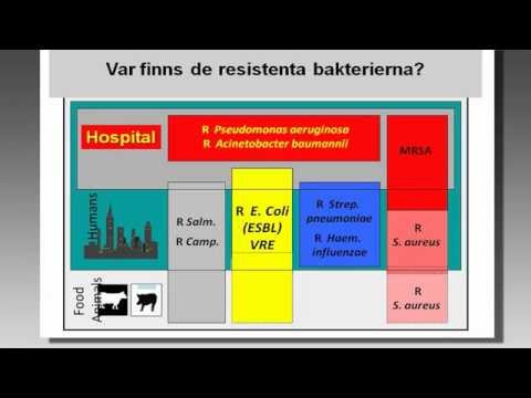 Video: Vilka sjukdomar orsakar alcaligenes faecalis?