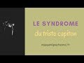 Le syndrome du triste capiton by emilie antoine de mapsyenlignechezmoi