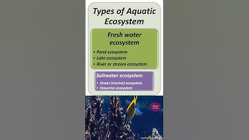 EVS Notes for all UG || Unit 2 - 6 - Aquatic ecosystem || Happy Learning - At any time of the day ||