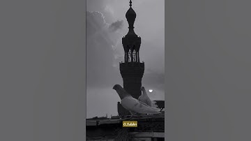 إذاعة القرآن الكريم من القاهره #قرآن