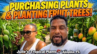 GARDENING DAY; PURCHASED FRUIT TREES AT JULIES IN APOPKA