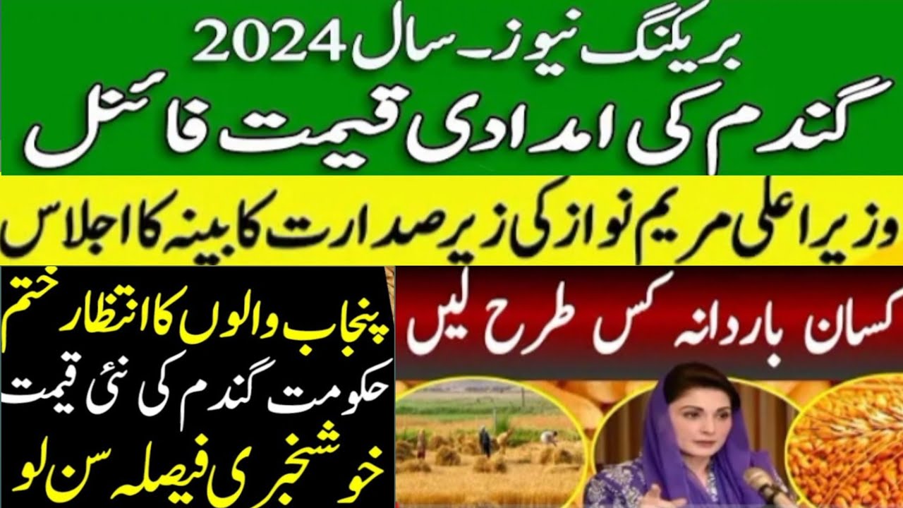 wheat support price final in punjab pakistan 2024 || new gandum rate ...