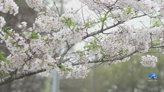 Red Wing Park set to reopen on Saturday