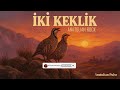 İki Keklik Anatolian Rock Cover