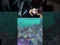 His story is heartbreaking 😔💔 #apexlegends #apexlegendsclips #story #sad #trending #shorts #fyp