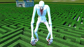 видео: SCP В БОЛЬШОМ ЛАБИРИНТЕ ГОНЯЮТСЯ ЗА НАМИ SANDBOX ► Garry's Mod картинка: SCP В БОЛЬШОМ ЛАБИРИНТЕ ГОНЯЮТСЯ ЗА НАМИ SANDBOX ► Garry's Mod