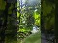 تلاوة من صورة القصص القارئ غيث سمرين أرح سمعك وقلبك قرآن