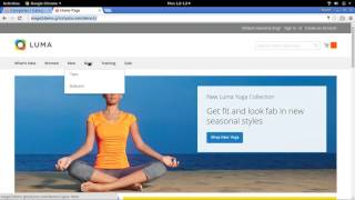 Magento Admin Panel - Intro to Magento 2.0 Administration Lesson 2