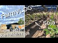 Die letzten Kartoffeln & Hafer verladen - Soja hacken / Vlog 22