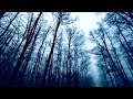Echoes of the Forest (instrumental)   - ETEMON (BLACK METAL) [Official Video Clip]