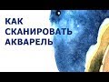 Как сканировать акварельную иллюстрацию.