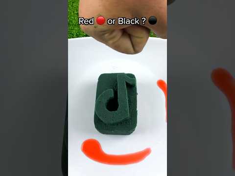 You will never guess the last one! 😳😂