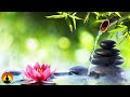 🔴 Relaxing Music 24/7, Peaceful Music, Meditation Music, Calm Music, Spa, Study Music, Sleep Music