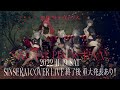 【#無限少女ヴァリス】SINSEKAI STUDIO1周年記念特別生配信【SPECIAL PROGRAM】