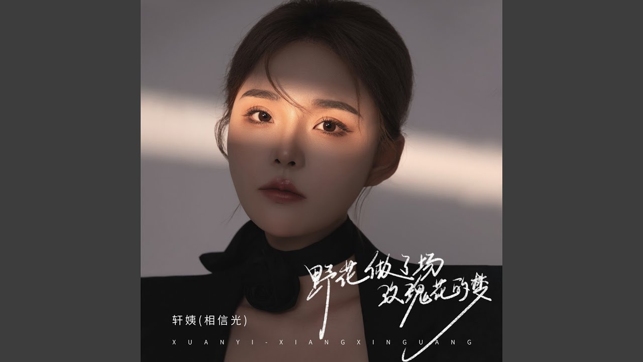 野花做了场玫瑰花的梦 (DJ九零版)