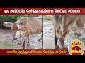 New video by Thanthi TV on YouTube