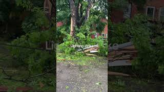 Lighting strike Took down a Huge tree, landing on my neighbors car! Taking power out #viral #fyp