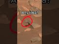 Mars Rover Exploration | structure? #mars