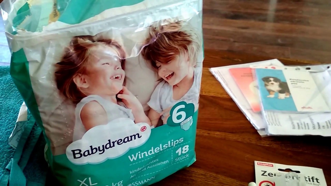 Rzeczy moich psów. Część V Akcesoria pielęgnacyjne