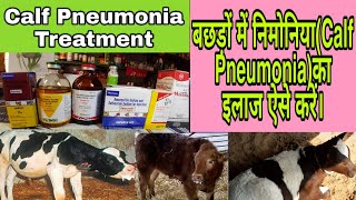 बछड़ों में निमोनिया के लक्षण, कारण व इलाज कैसे करें? Calf pneumonia Symptoms,Etiology And Treatment