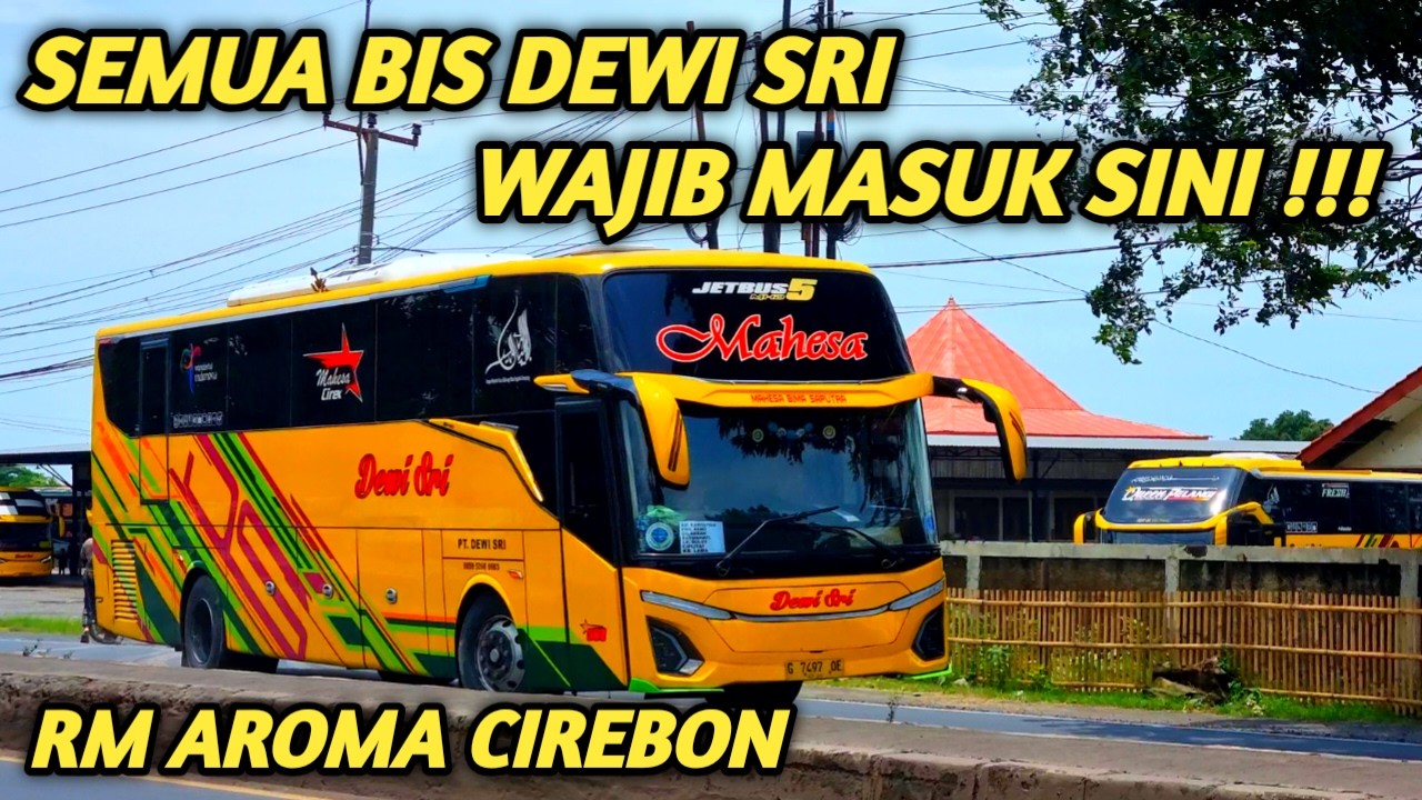 SEMUA BIS DEWI SRI DIVISI NGAPAK RAYA WAJIB MASUK SINI  !!!