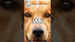 A Dog's Purpose (2017)مشاهدة الفيلم تحت الوصف