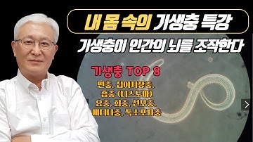 [칼슘박사 숀리TV] 내 몸속의 기생충 특강 (기생충 TOP 8) - 인간의 뇌를 조종하는 기생충이 있다??!!