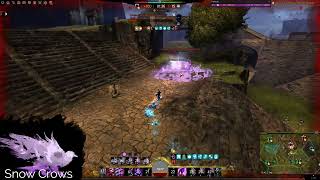 the struggles of power chrono vs thieves (wvw)