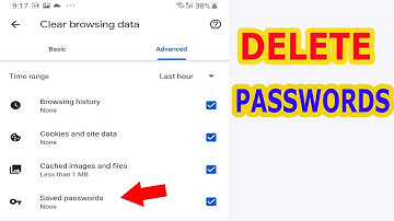DELETE ALL Saved Passwords For Websites If You Don