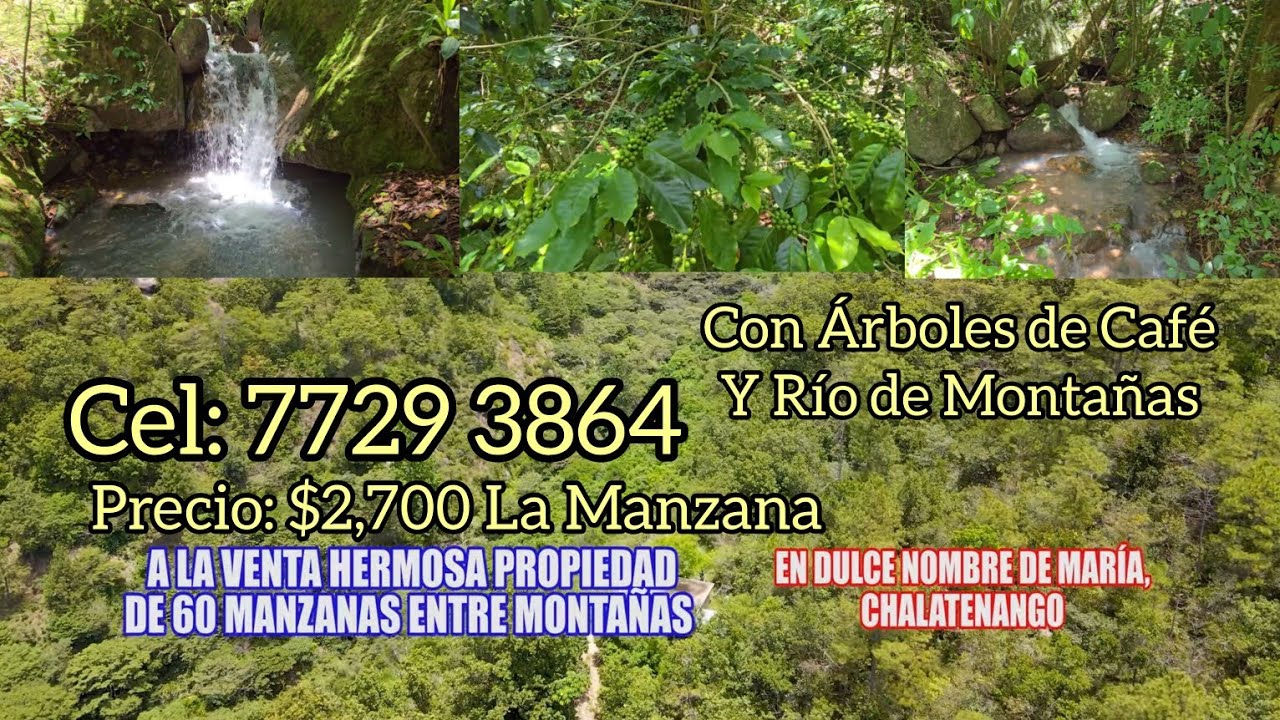 En Venta 70 Manzanas de Terreno, Con Cafetales y Río en Chalatenango.Precio $2,700.Mz Cel: 7729 3864