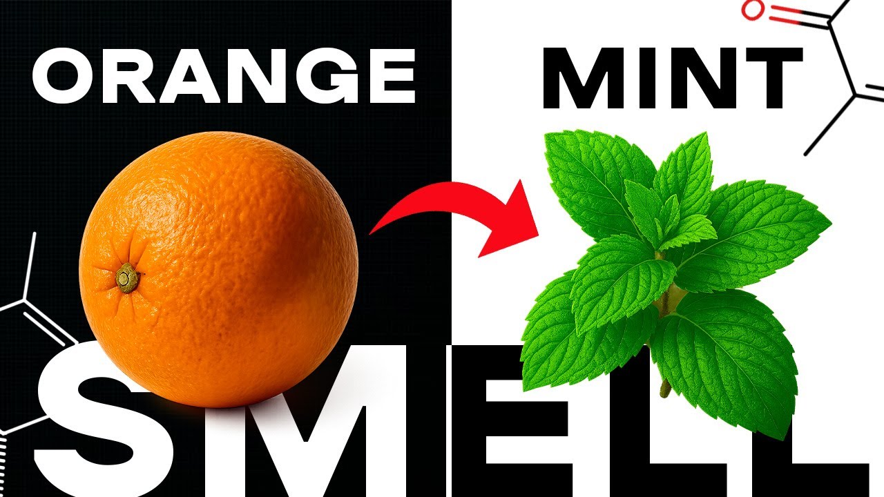 Turning ORANGE smell into MINT