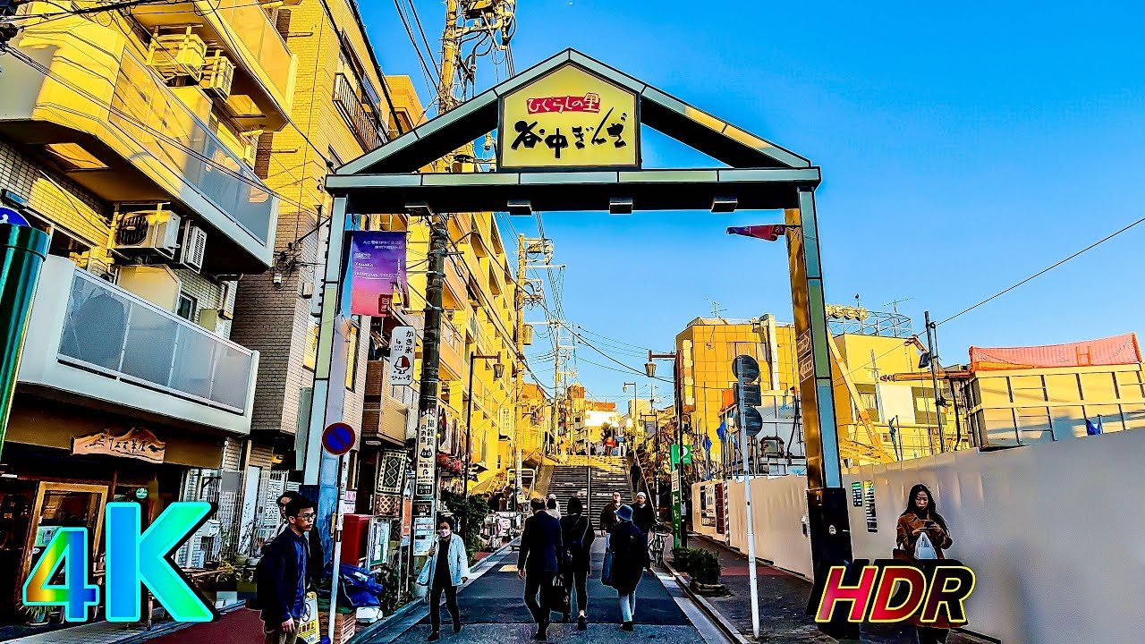 Yanaka Ginza, Old-Tokyo walk, a frame from the walk