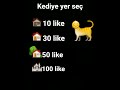 kediye yer seç