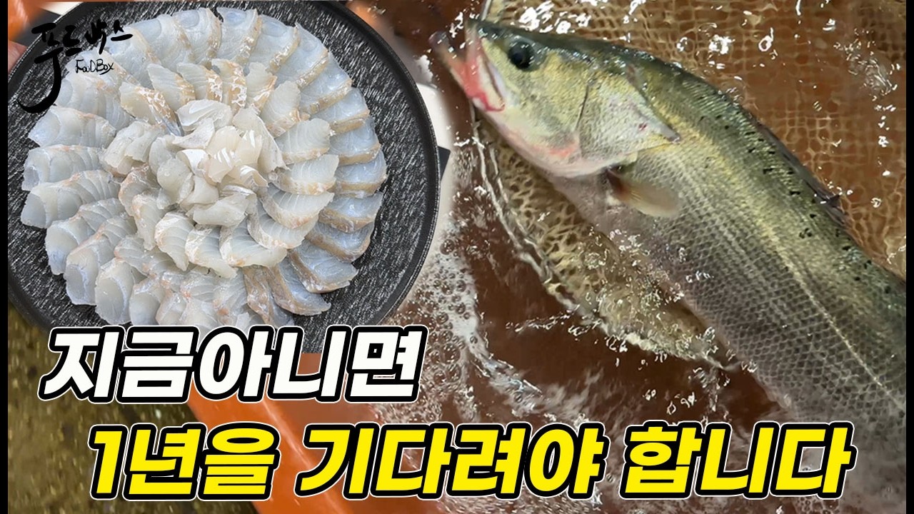지금시기  놓치면 1년을 가다려야 합니다~ 정말 맛있는데 저평가된  생선..