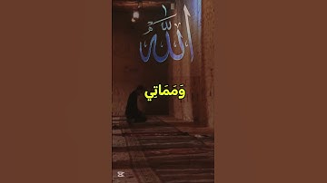 قران كريم ايات تريح القلب بصوت #المنشاوي #الضياء 8