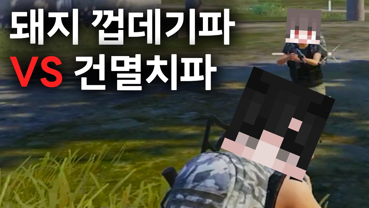 모배 돼지 껍데기파 vs 건멸치파 ㄷㄷ