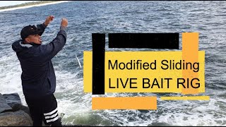 Sliding Live Bait Rig [How To]