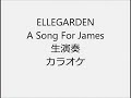 ELLEGARDEN A Song For James 生演奏 カラオケ Instrumental cover