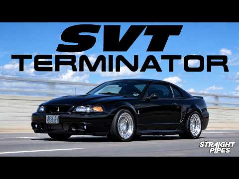 Why Pay $200,000 for a Dark Horse SC When You Can Get a $20K Terminator Cobra?