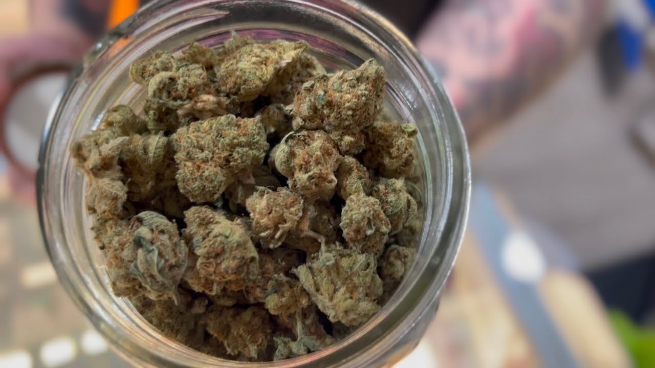 Going to a cannabis dispensary in Portland, Oregon