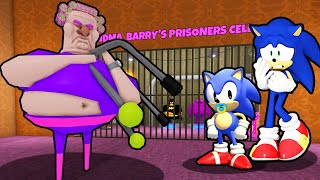 SONIC AND BABY SONIC VS EVIL GRANDMA BARRY'S PRISON RUN IN ROBLOX