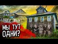 Заброшенная деревня: там прошло все детство. Вернулся спустя 20 лет в глушь Ярославской области