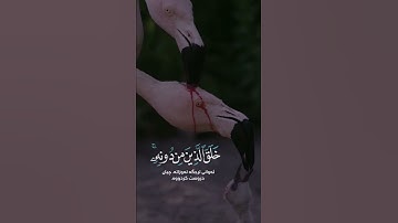 هذا خلق الله فأروني ماذا خلق الذين من دونه: القاري یوسف عثمان سورة لقمان