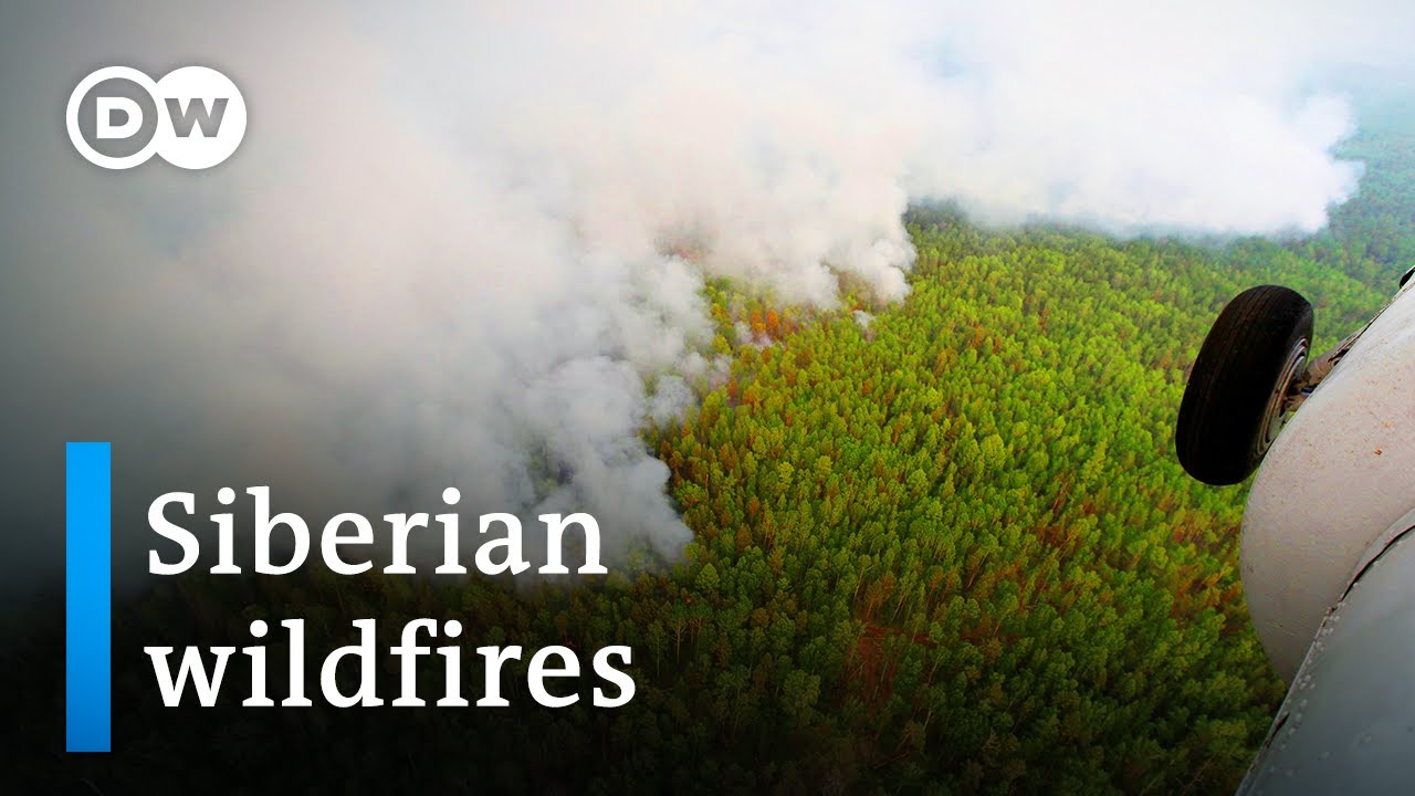 Massive wildfires in Siberia fueled by record heat | DW News - YouTube