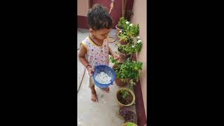 vivek plucking the Flower