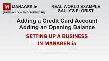 📒Manager.io - Setting Up Credit Card Accounts - Setting Up a Business