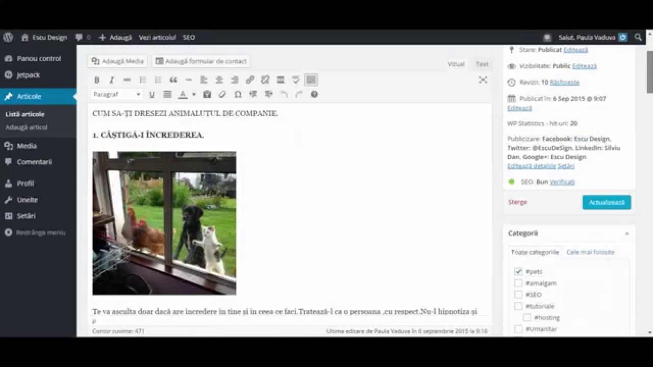 camera iphone 8 plus apk Cum scrii un articol corect pe wordpress