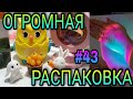 #43 ОГРОМНАЯ РАСПАКОВКА. Куча ХАЛЯВЫ с Алиэкспресс, Вайлдберрис