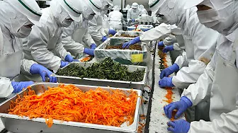 K-Pop Demon Hunters Kimbap Takes Over America! Korean Kimbap Craze / Korean food