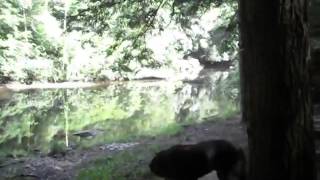 July 01 2014 SAM 4367